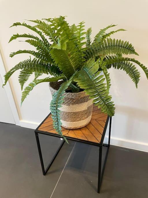 Ostend Chic, Luxe Loftstijl In Oostende المظهر الخارجي الصورة