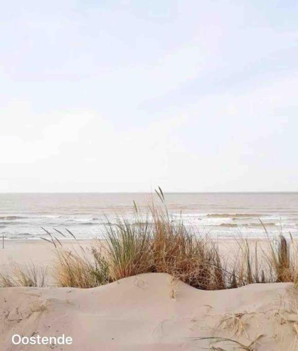 Ostend Chic, Luxe Loftstijl In Oostende المظهر الخارجي الصورة